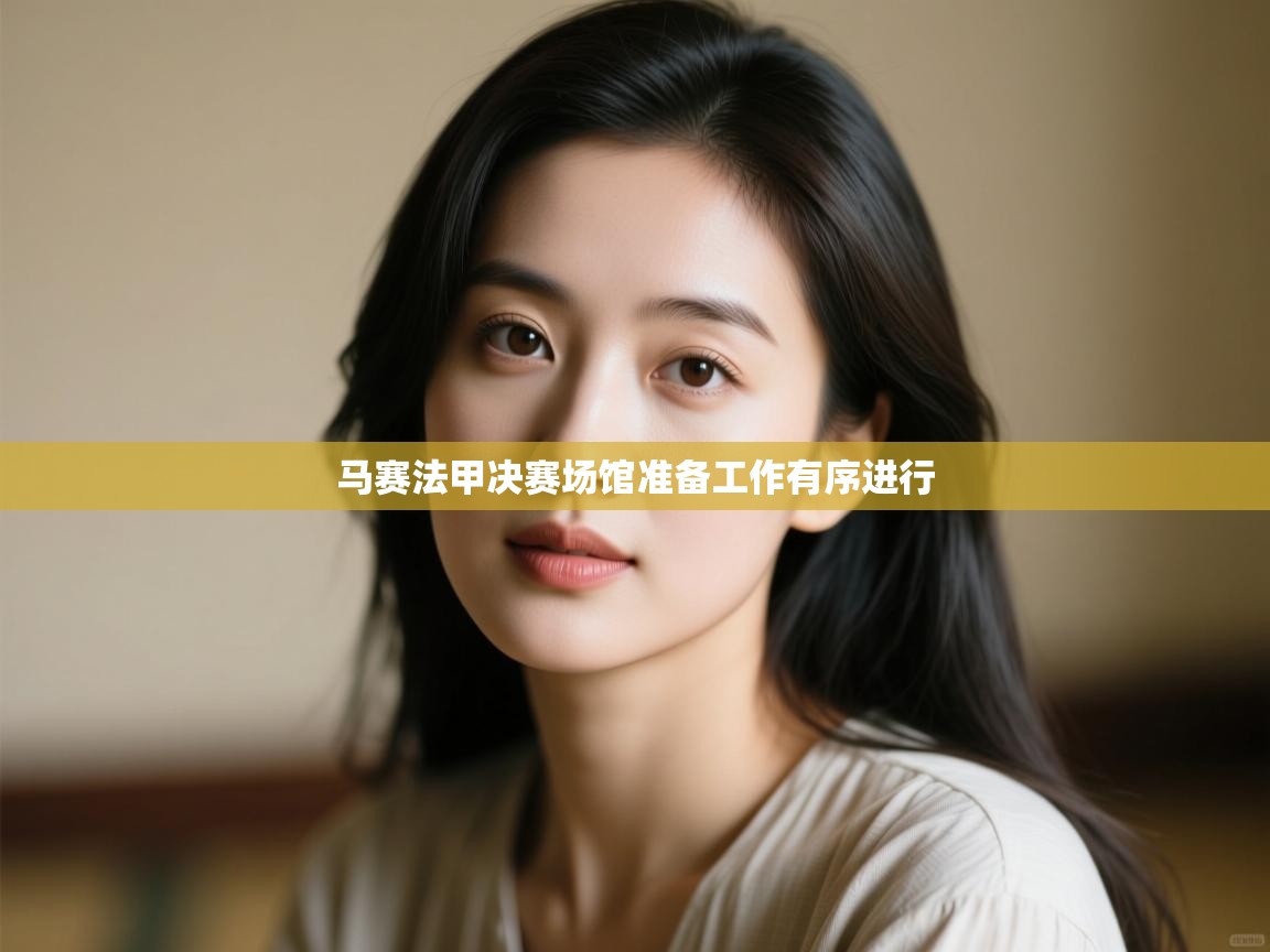 马赛法甲决赛场馆准备工作有序进行  第1张