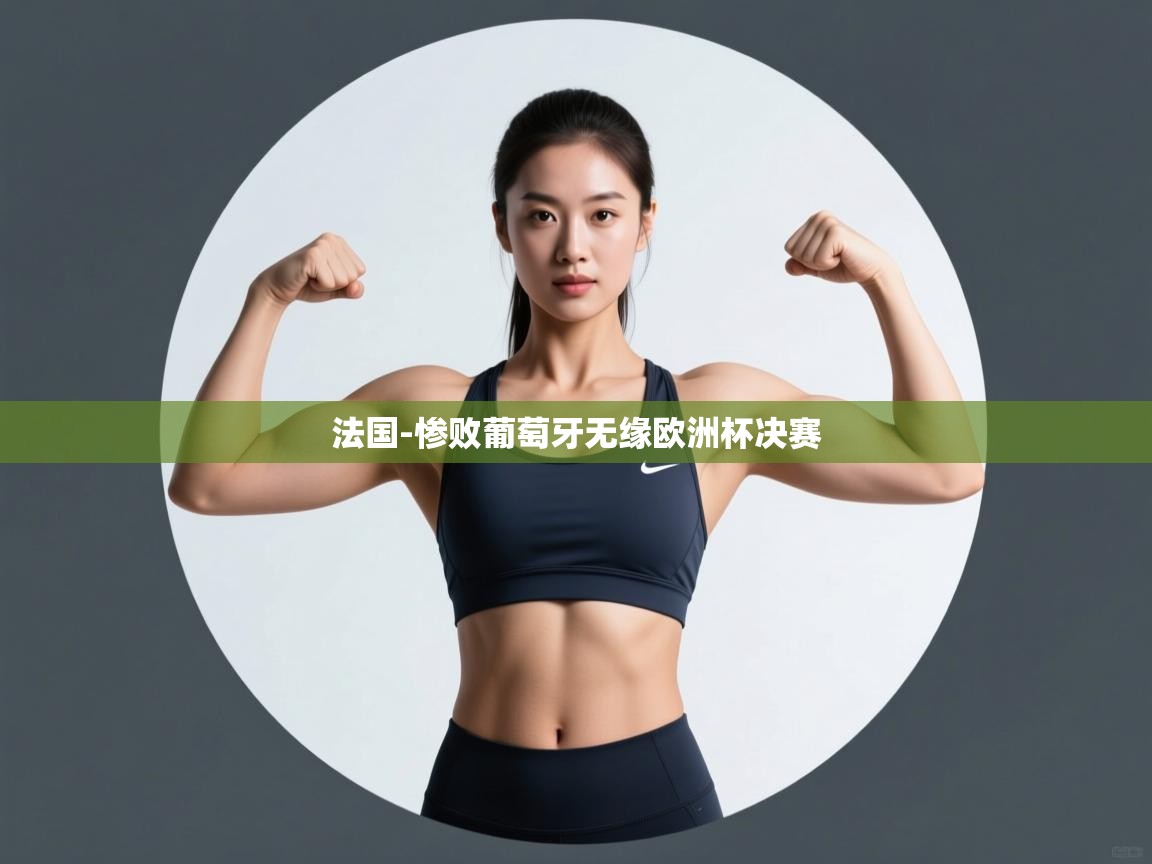 法国-惨败葡萄牙无缘欧洲杯决赛  第2张